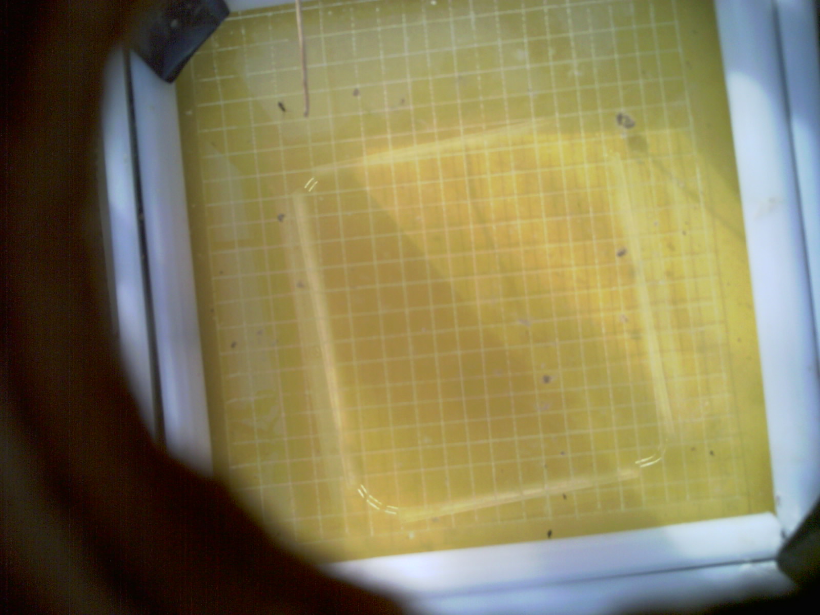 20260712_082752_UXGA_Q3.jpg