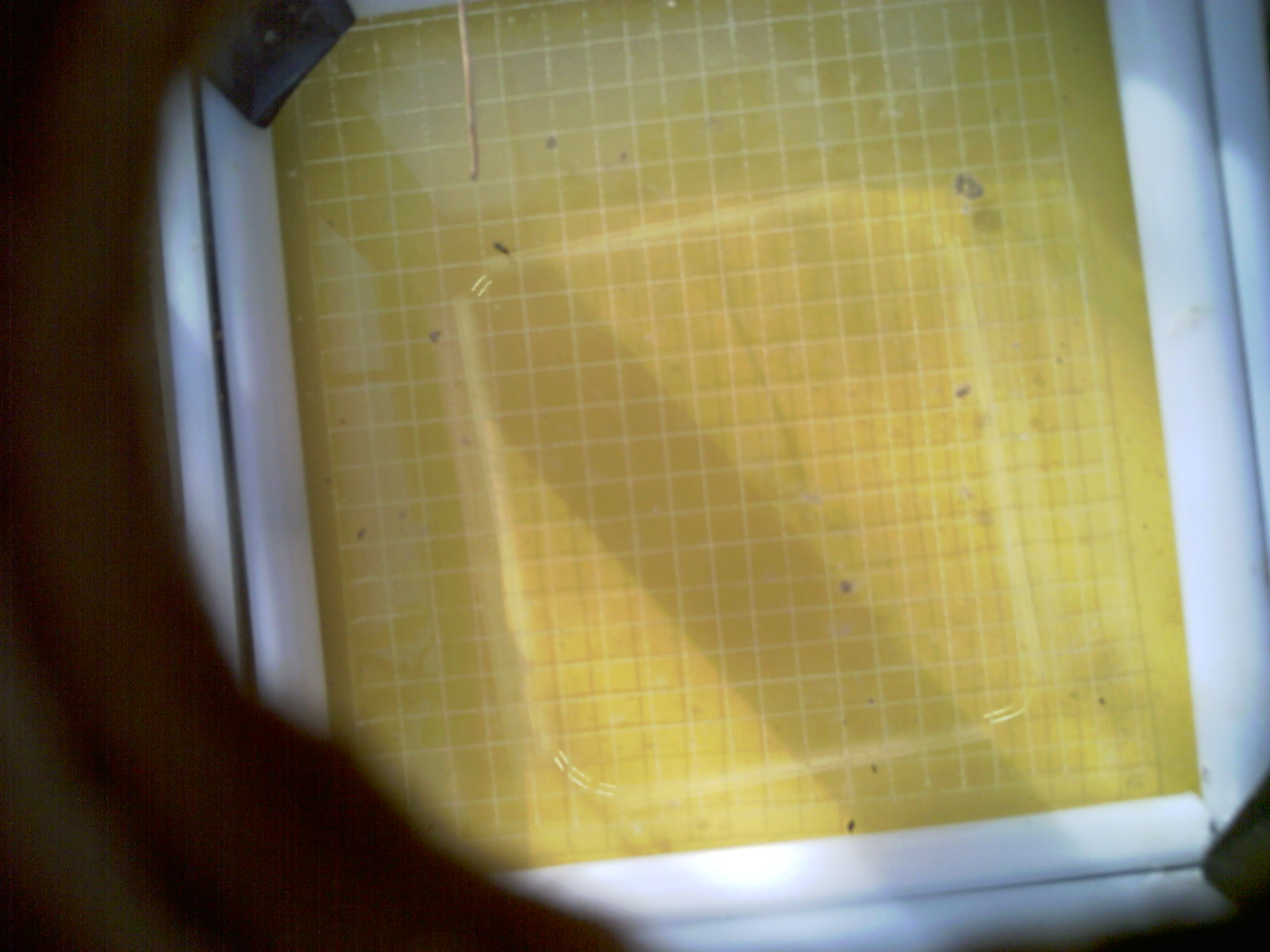 20260712_083342_UXGA_Q3.jpg