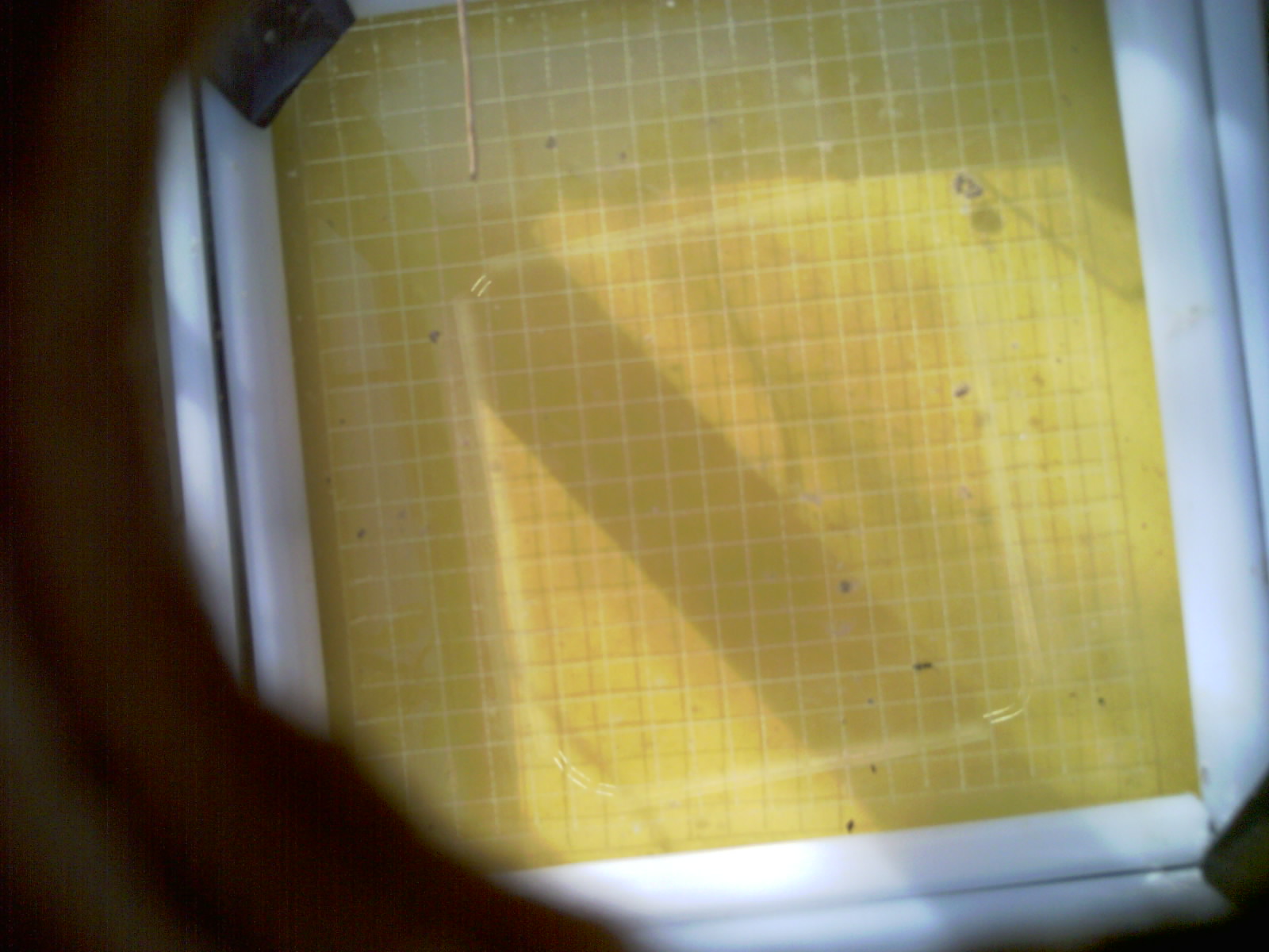 20260712_084001_UXGA_Q3.jpg