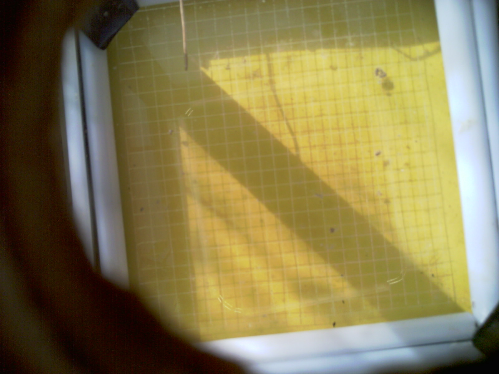 20260712_090605_UXGA_Q3.jpg