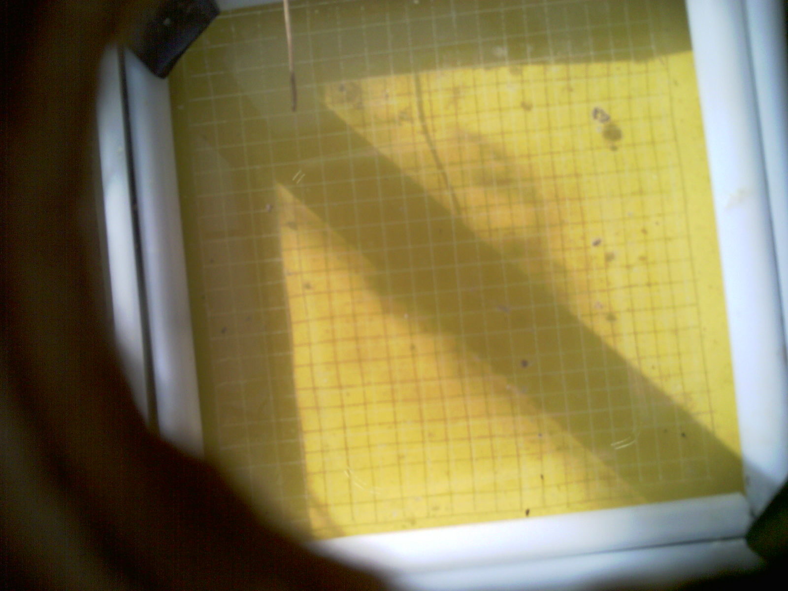 20260712_091938_UXGA_Q3.jpg
