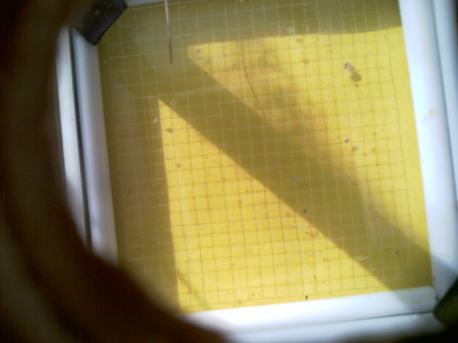 20260712_092609_UXGA_Q3.jpg