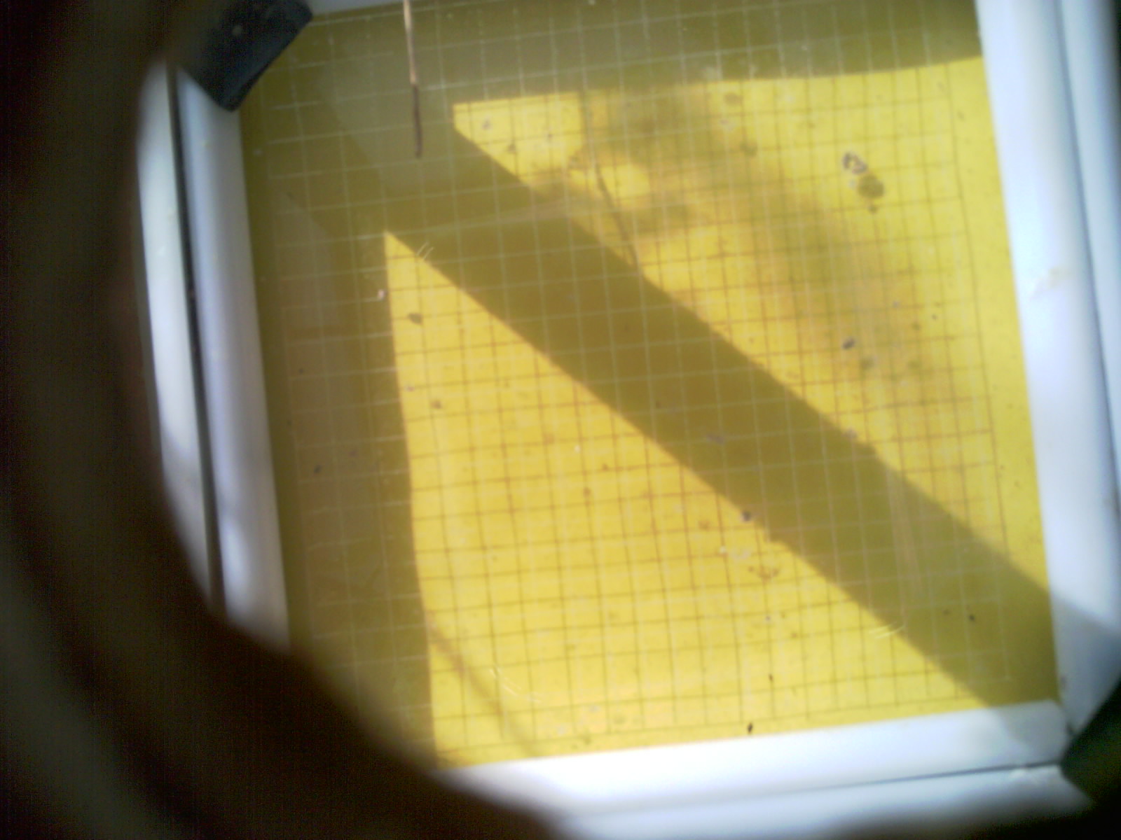 20260712_093240_UXGA_Q3.jpg