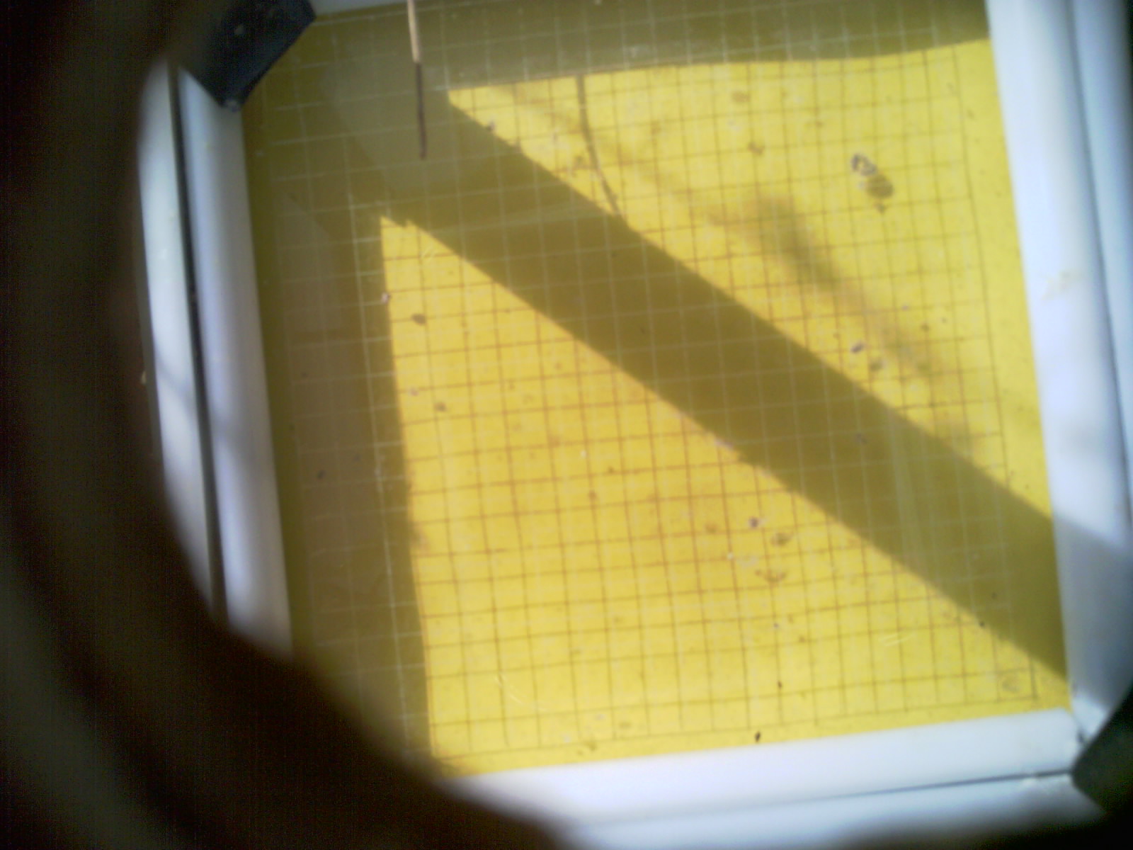 20260712_095135_UXGA_Q3.jpg