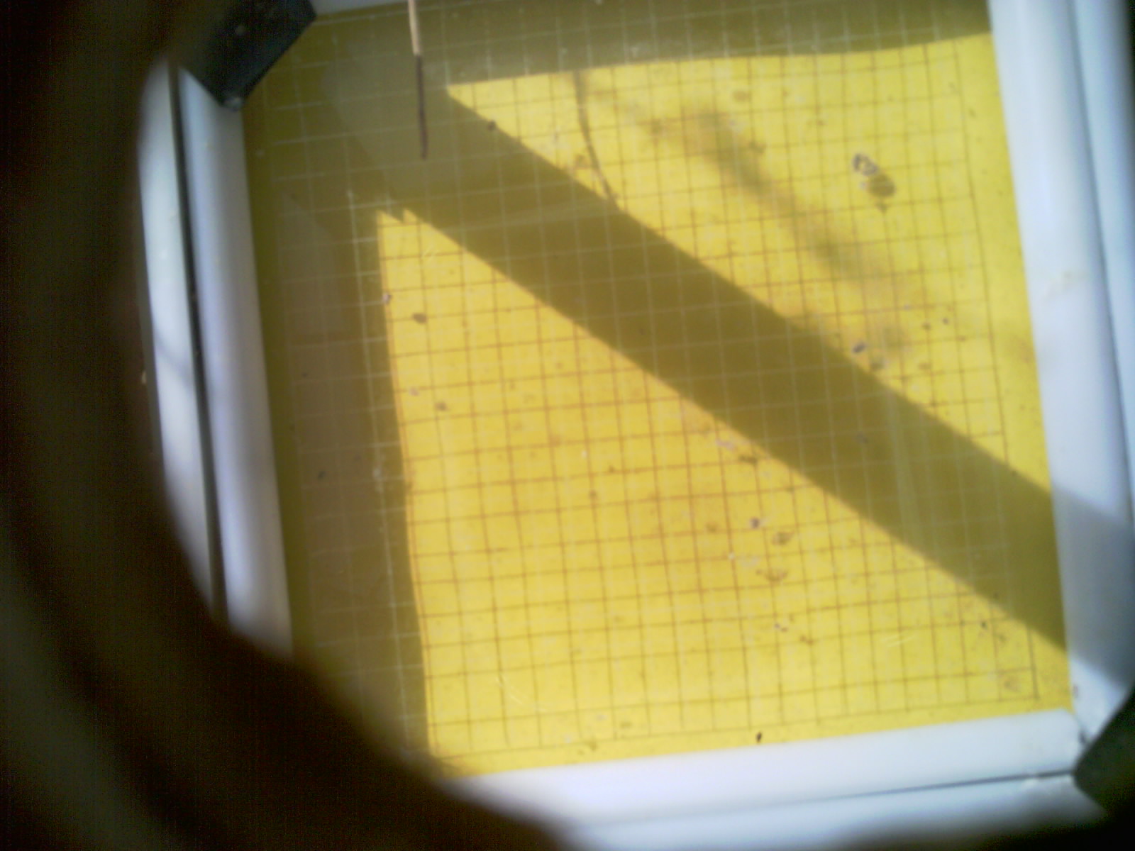 20260712_095808_UXGA_Q3.jpg
