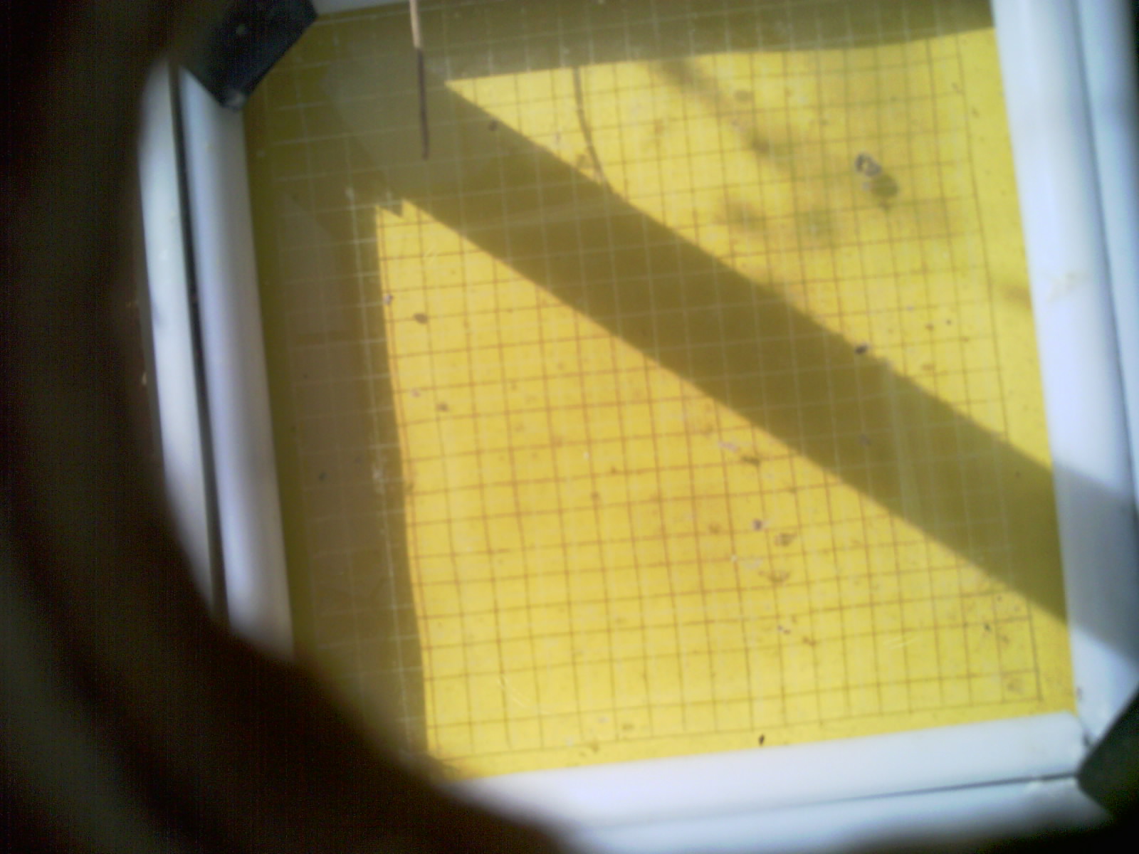 20260712_100452_UXGA_Q3.jpg