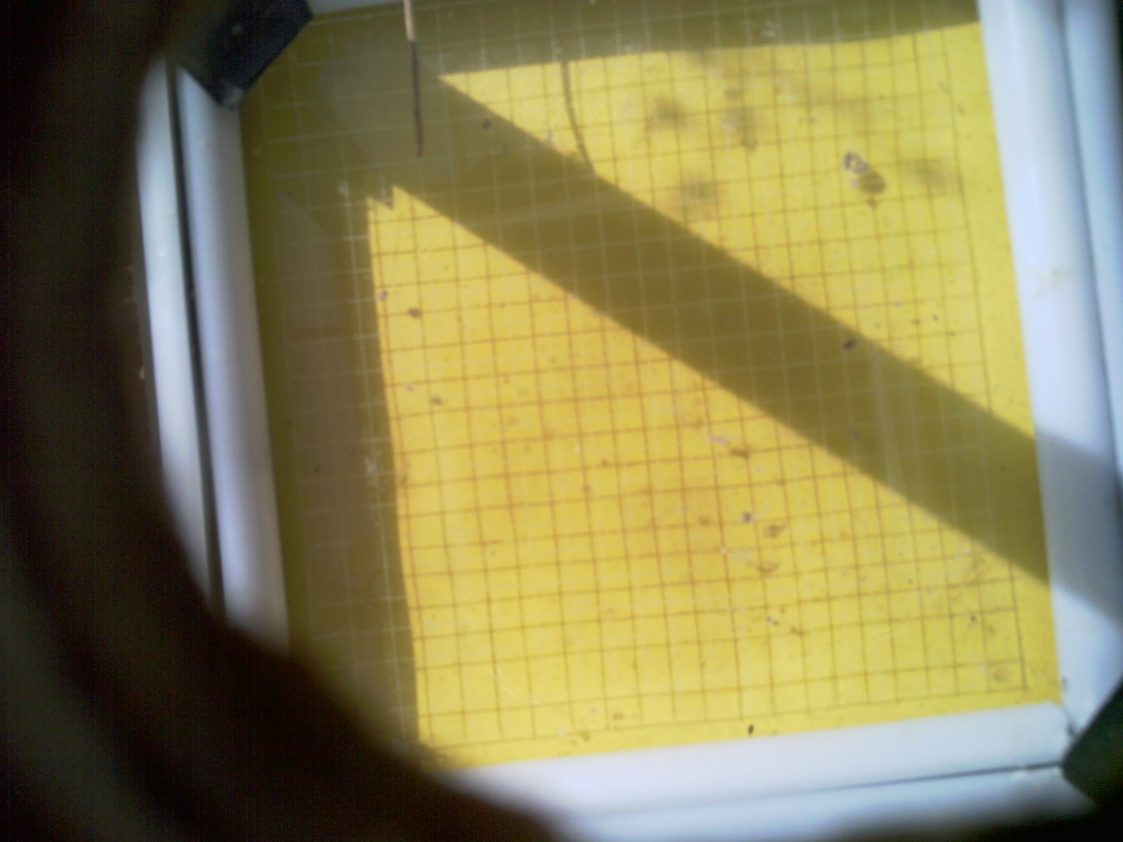 20260712_101123_UXGA_Q3.jpg