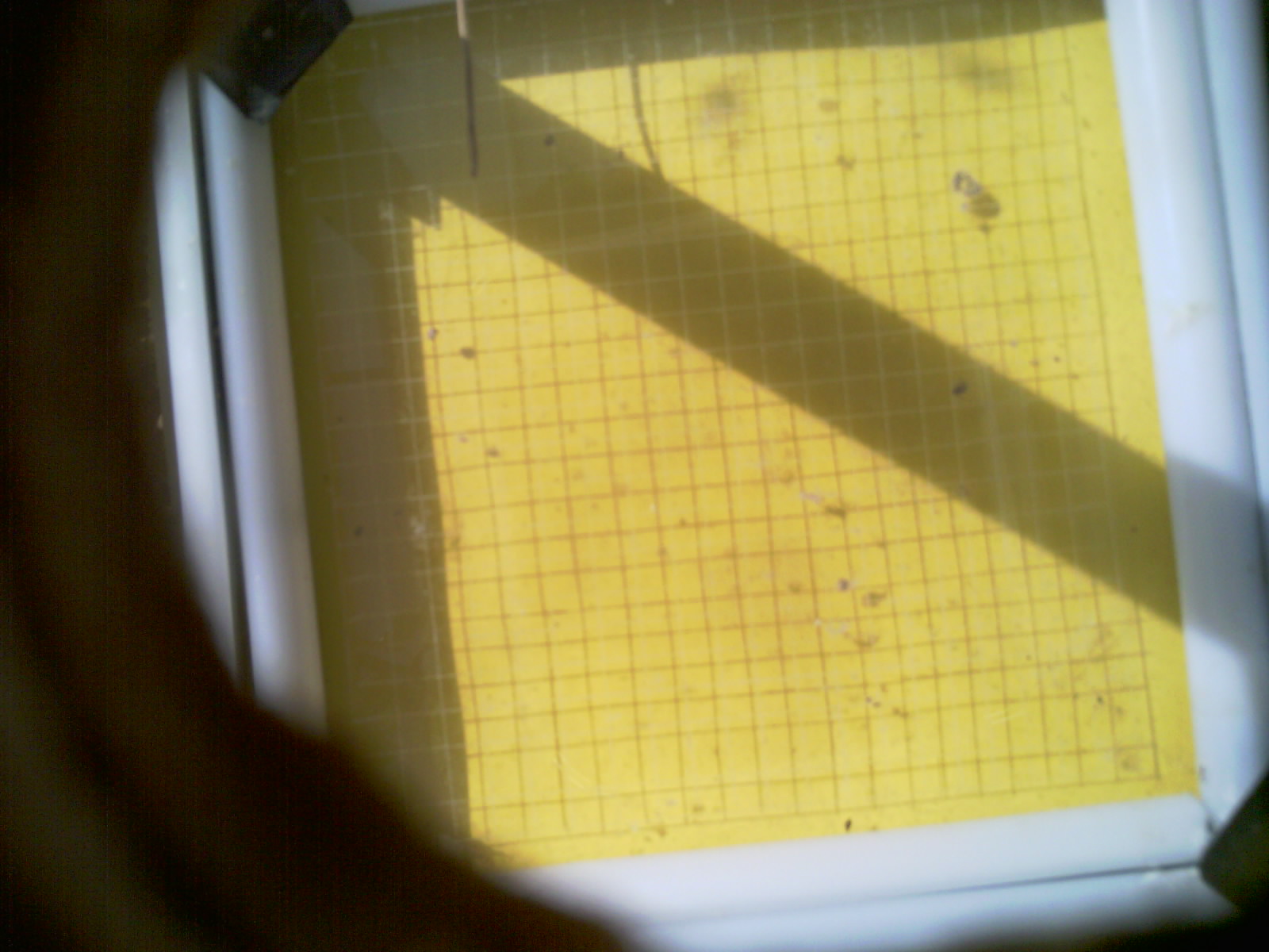 20260712_101812_UXGA_Q3.jpg