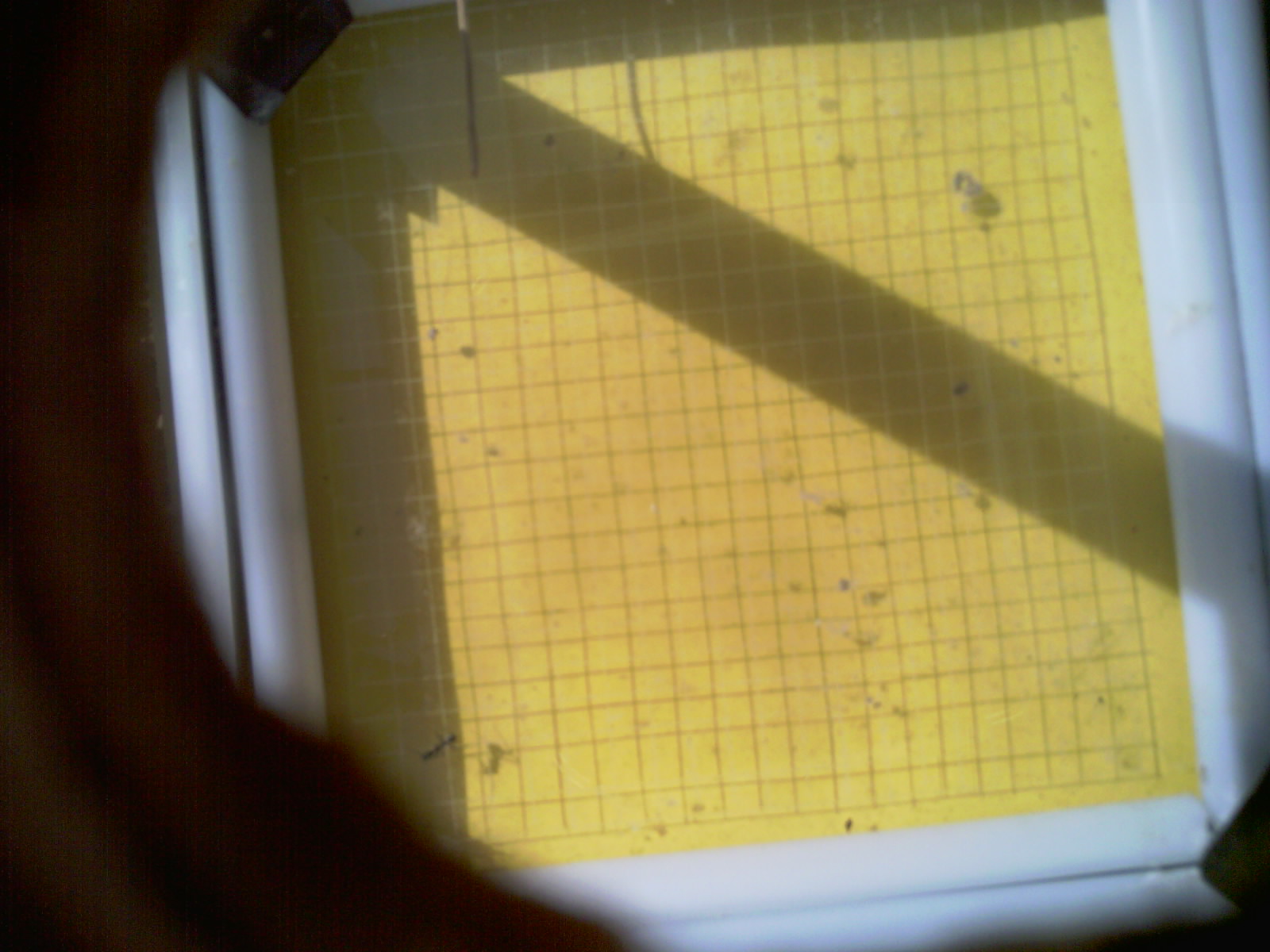 20260712_102453_UXGA_Q3.jpg