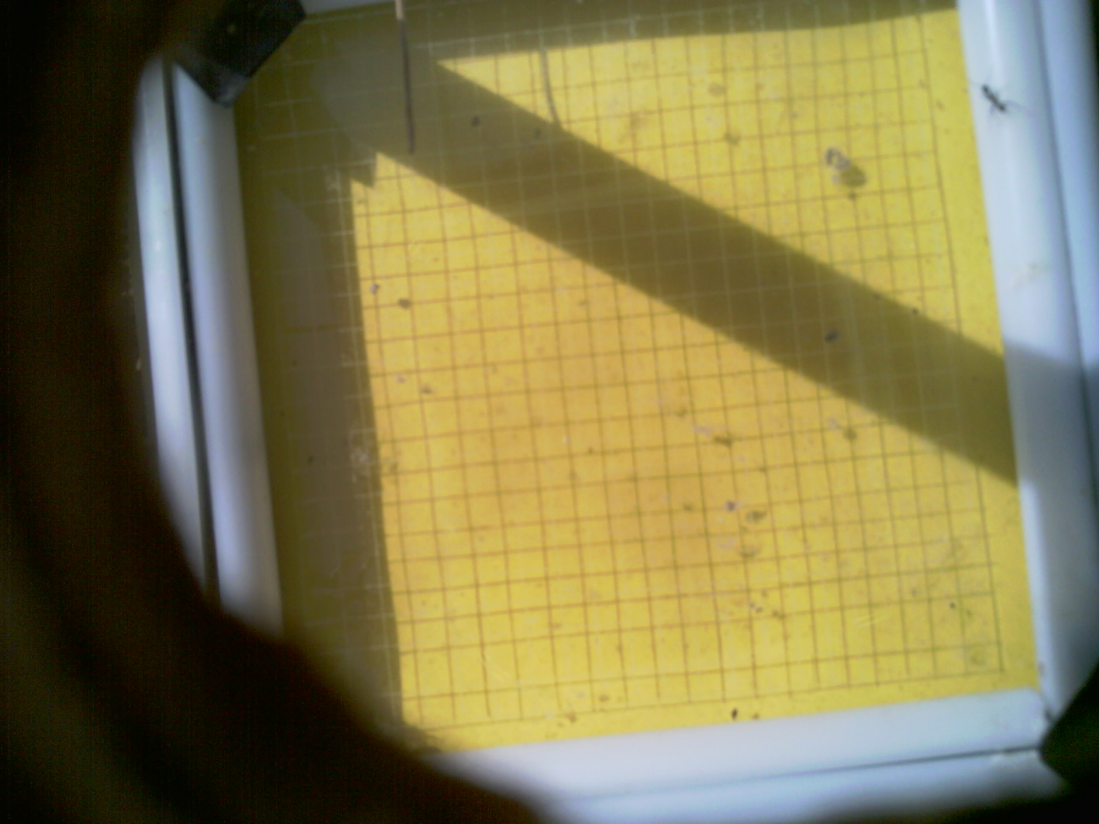 20260712_103146_UXGA_Q3.jpg
