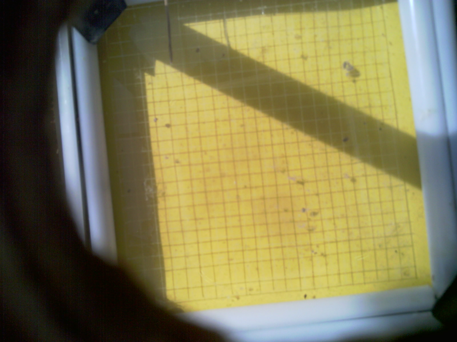 20260712_103900_UXGA_Q3.jpg