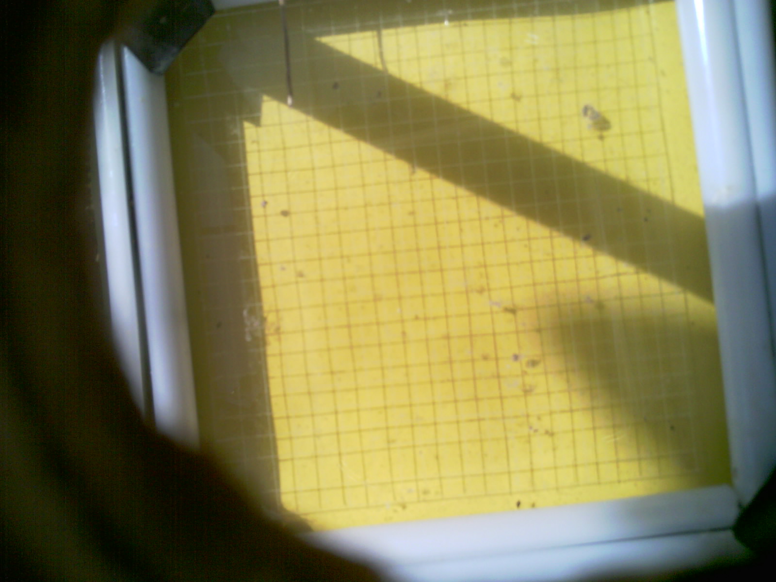 20260712_104534_UXGA_Q3.jpg