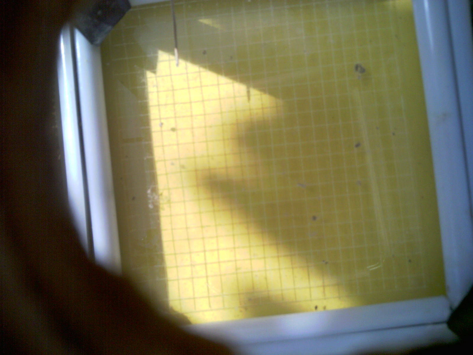 20260712_105919_UXGA_Q3.jpg