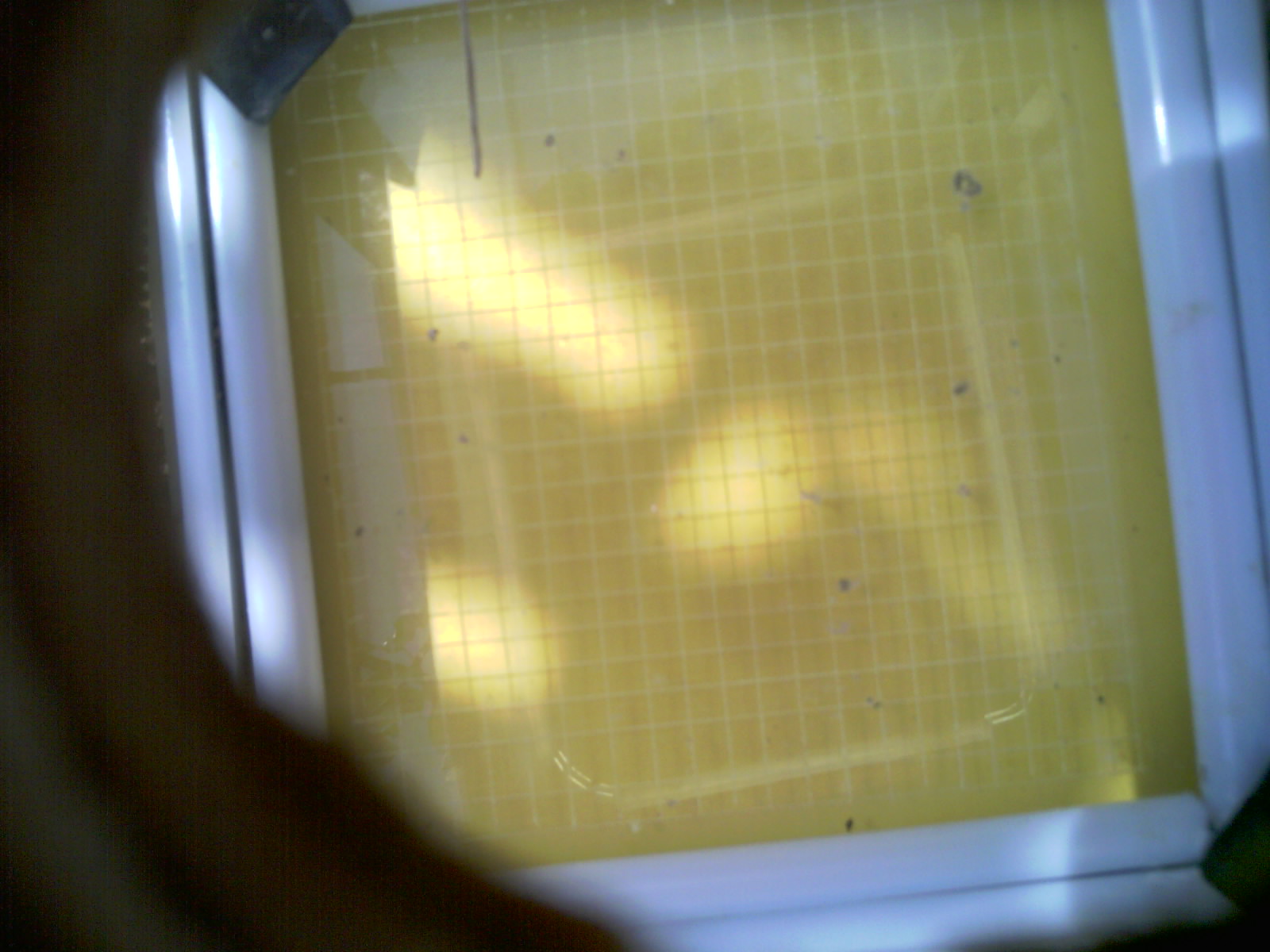 20260712_111402_UXGA_Q3.jpg