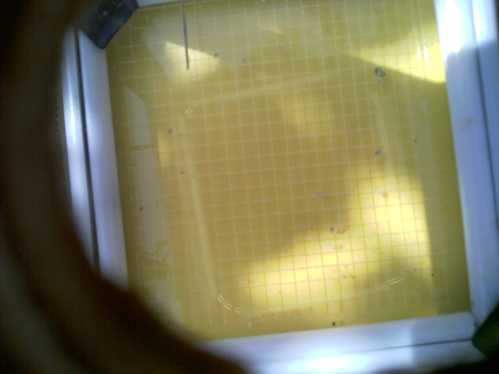 20260712_112125_UXGA_Q3.jpg