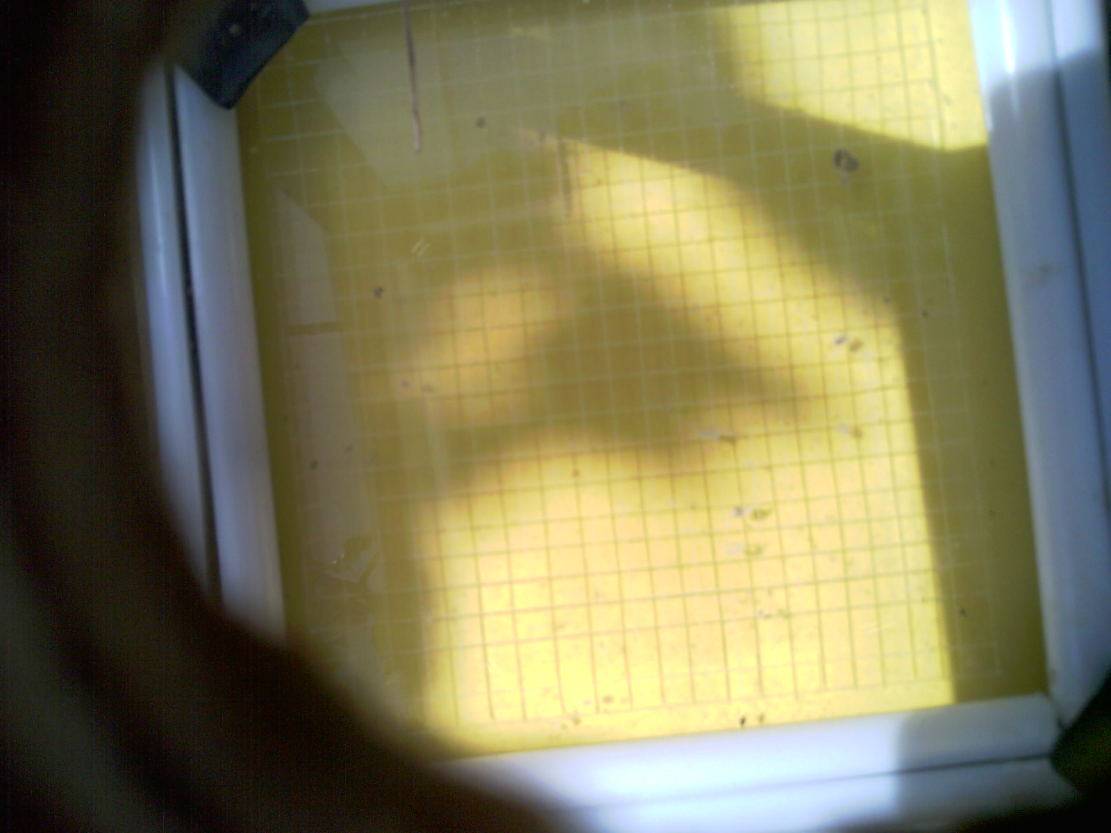 20260712_112842_UXGA_Q3.jpg