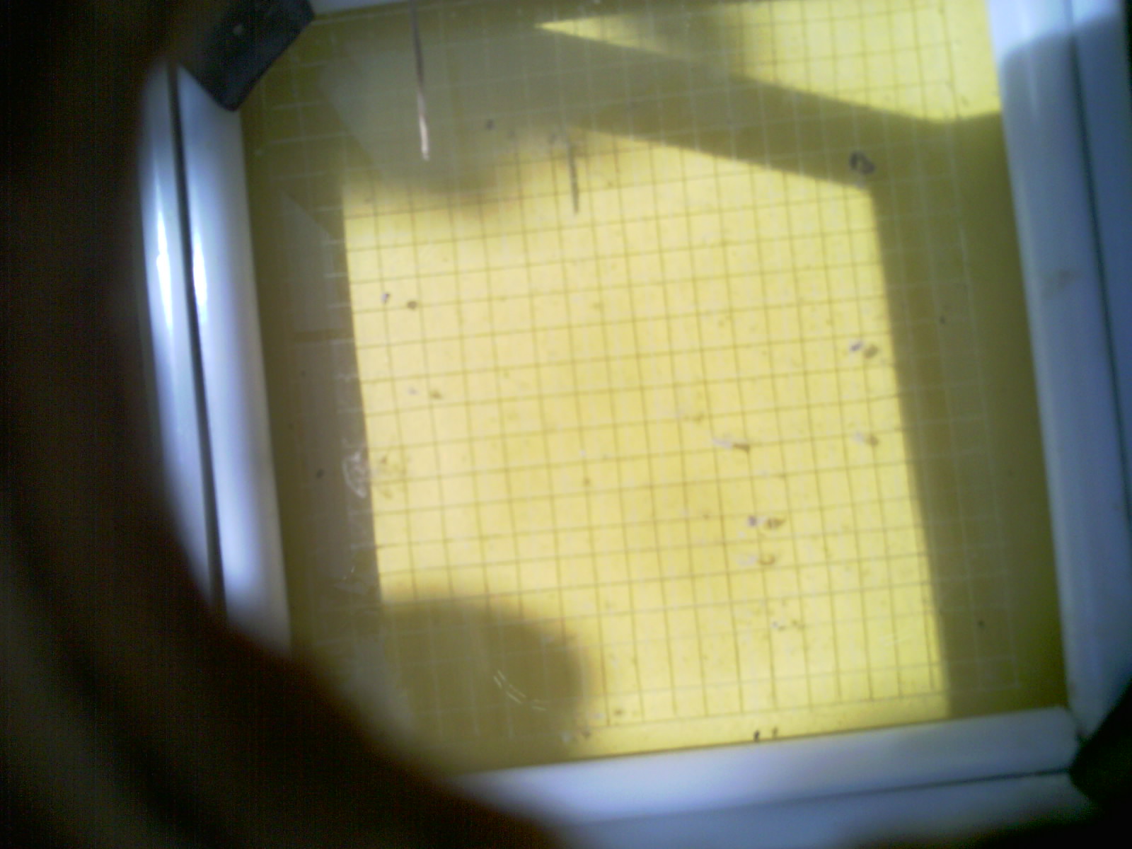20260712_113602_UXGA_Q3.jpg