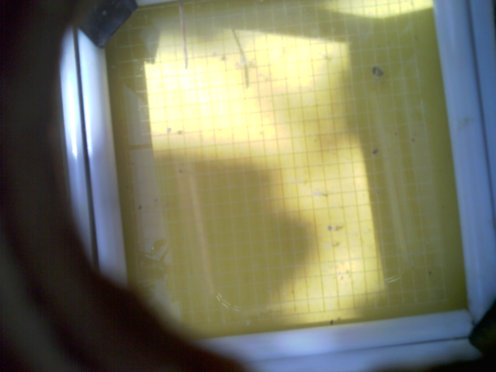 20260712_115926_UXGA_Q3.jpg