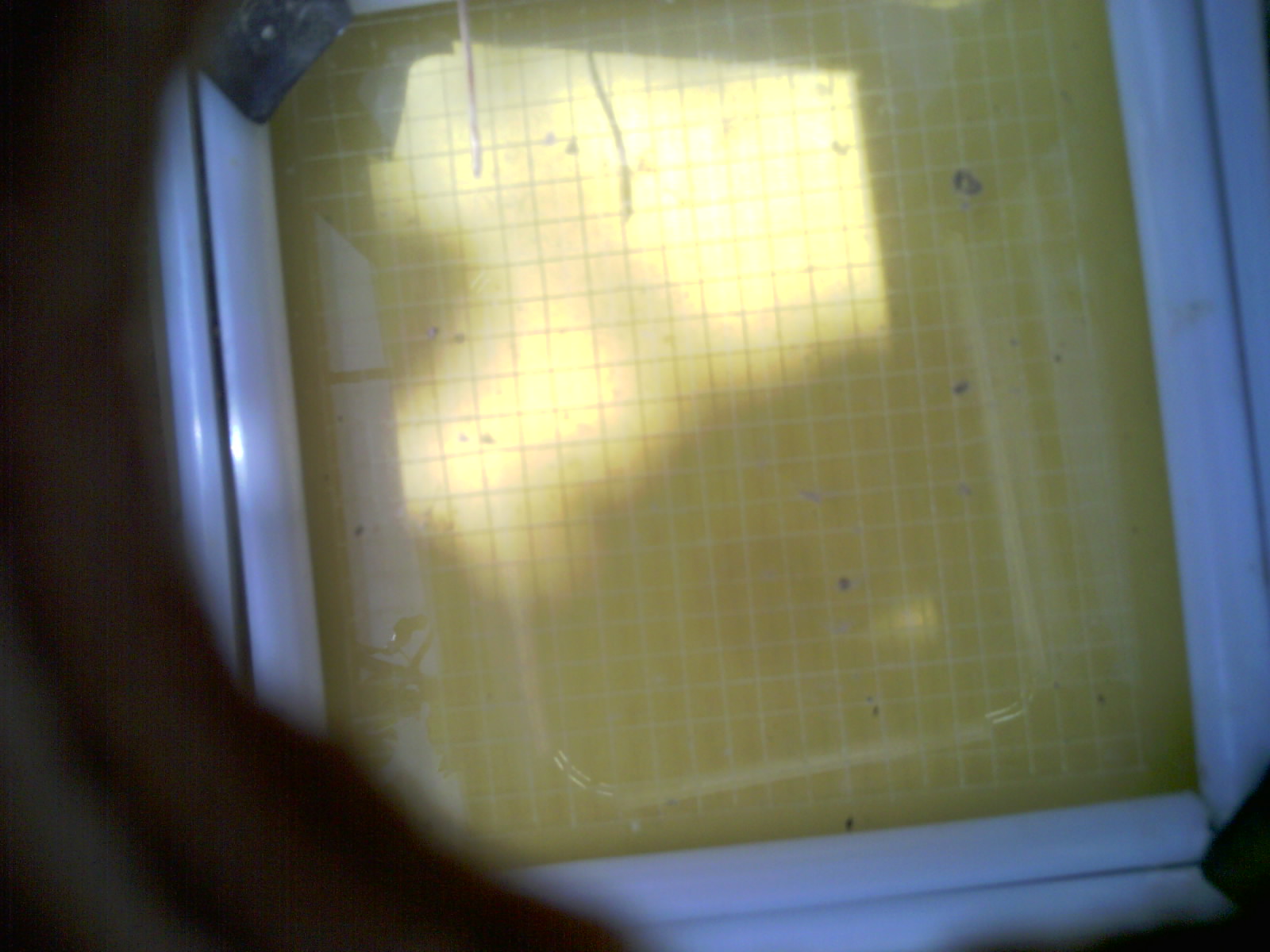 20260712_120637_UXGA_Q3.jpg