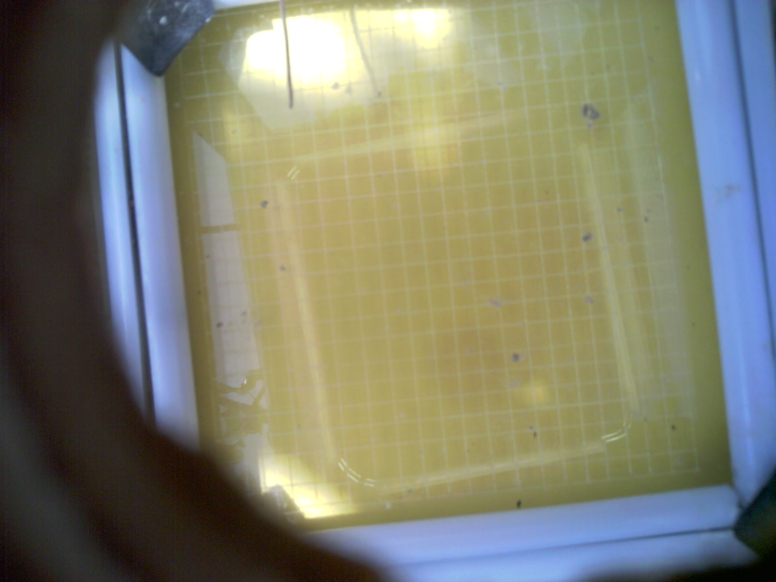 20260712_122051_UXGA_Q3.jpg