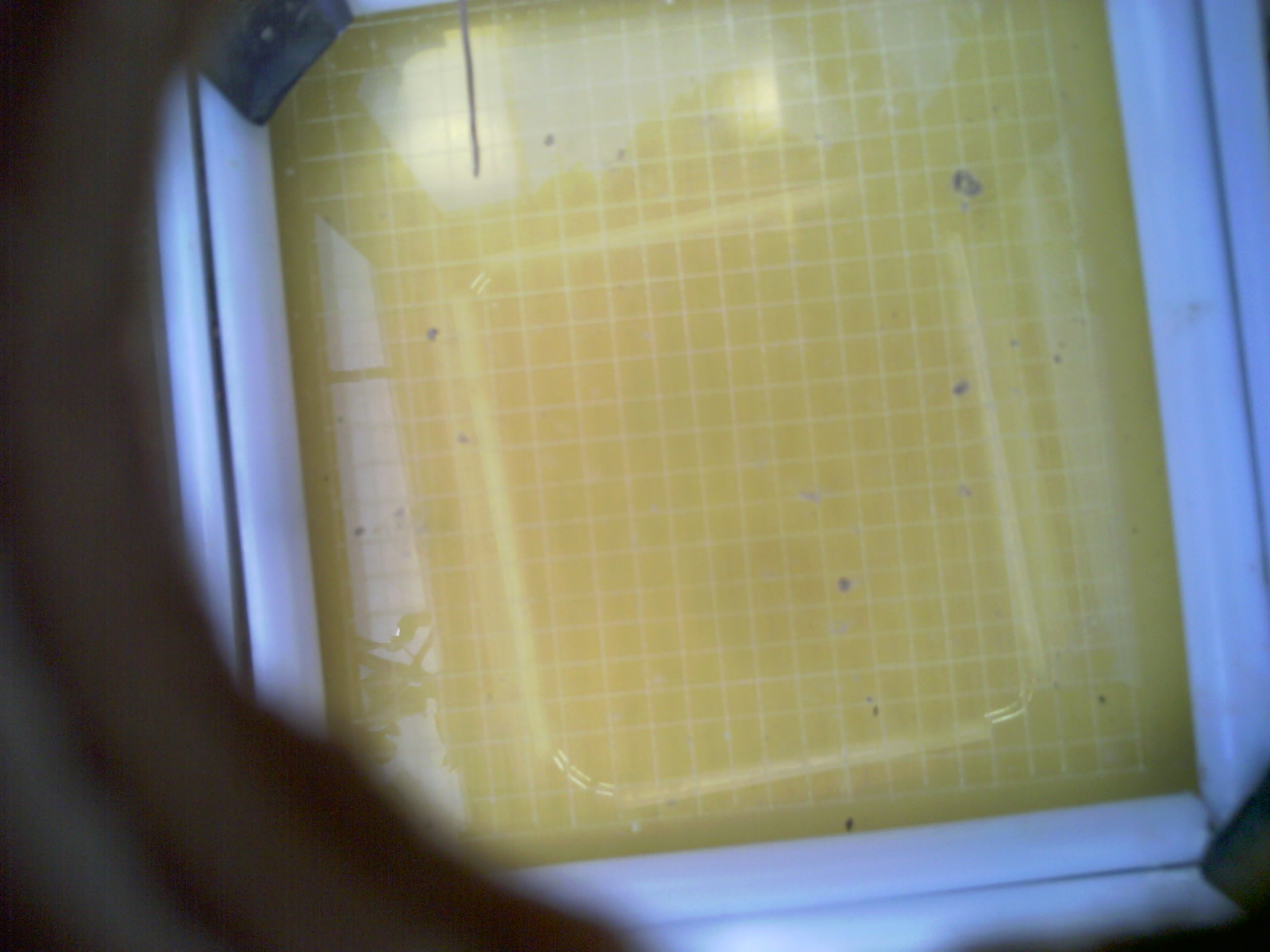 20260712_122750_UXGA_Q3.jpg