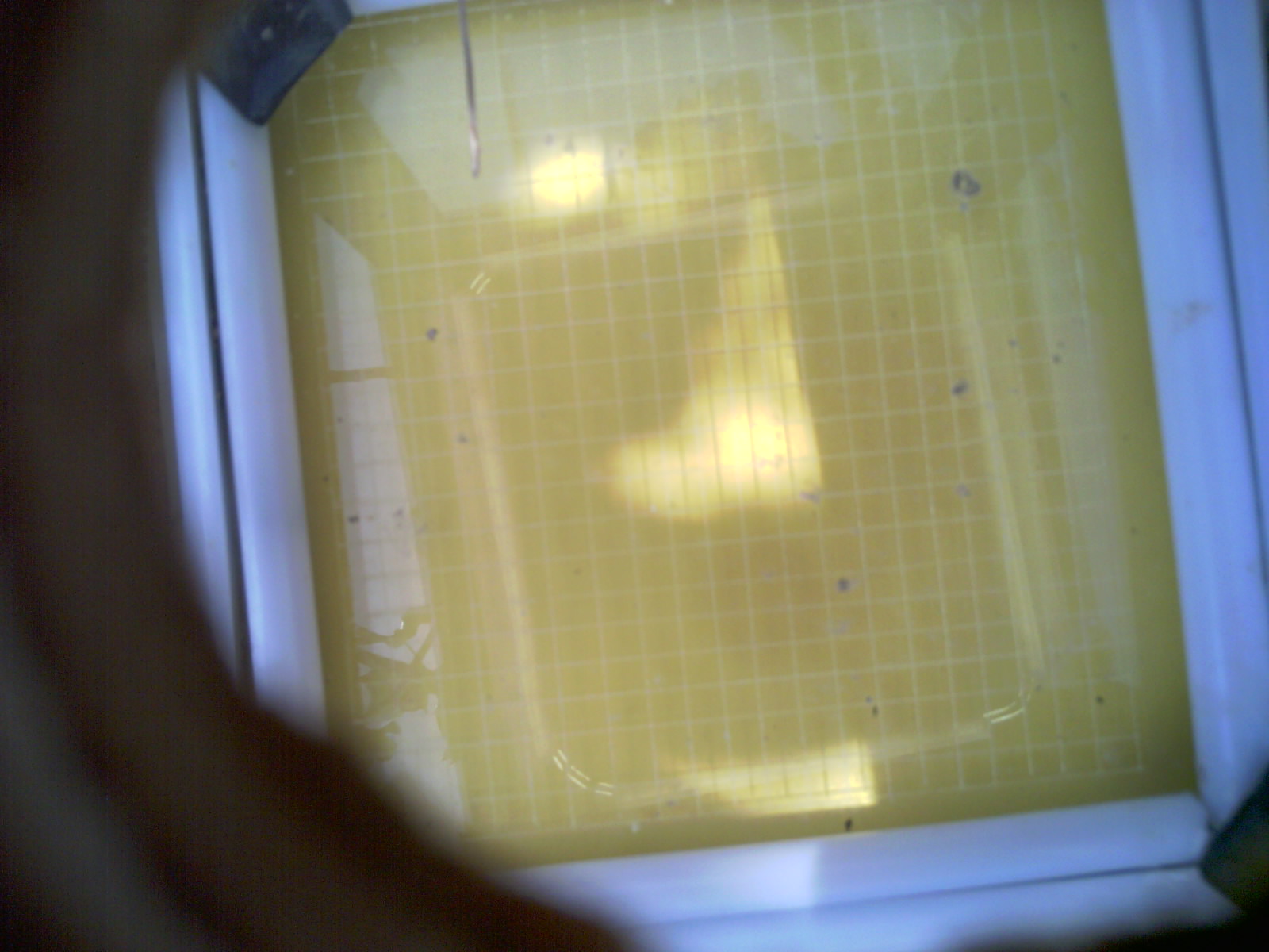 20260712_123506_UXGA_Q3.jpg