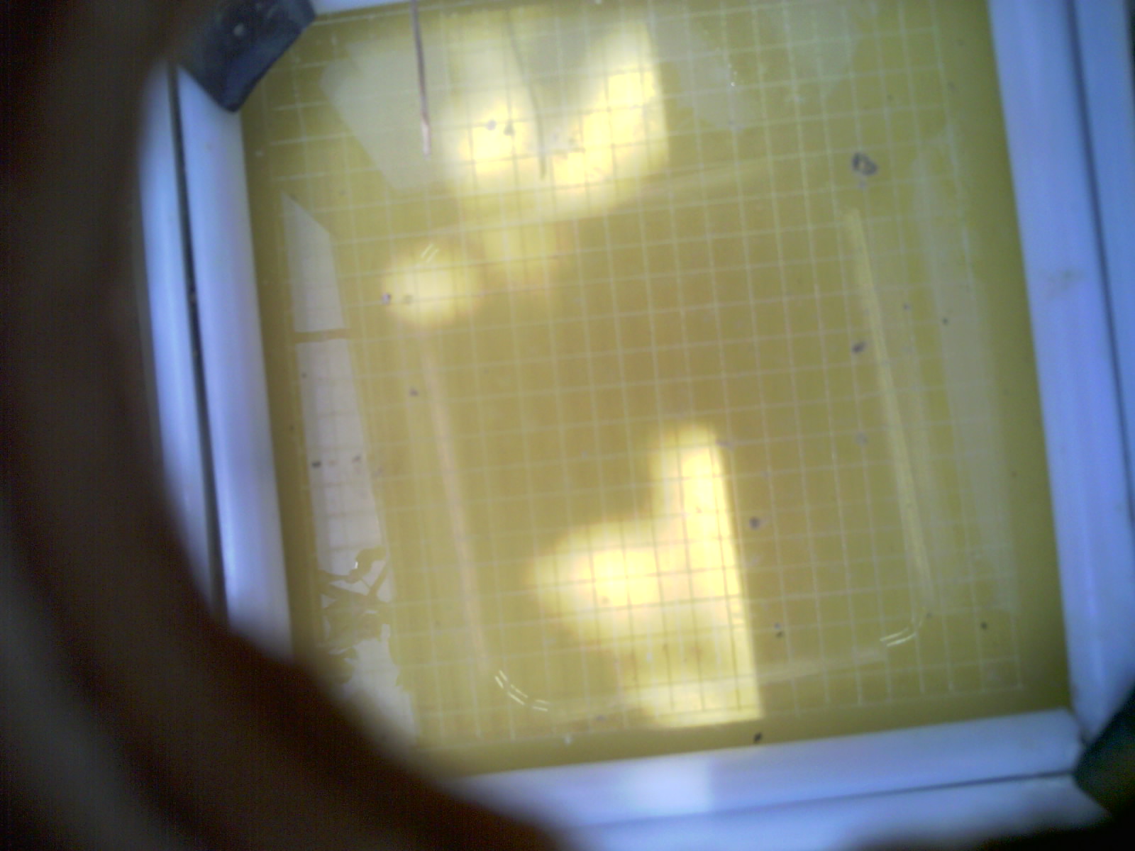 20260712_124301_UXGA_Q3.jpg