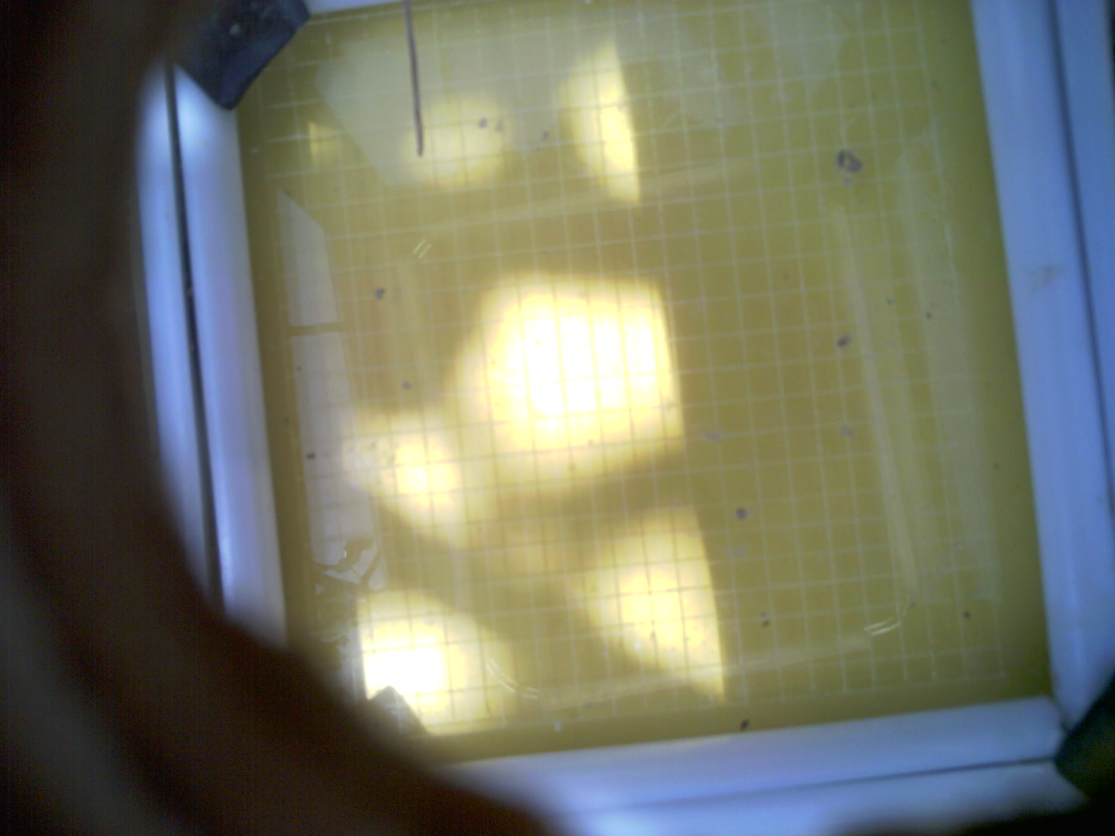 20260712_125118_UXGA_Q3.jpg