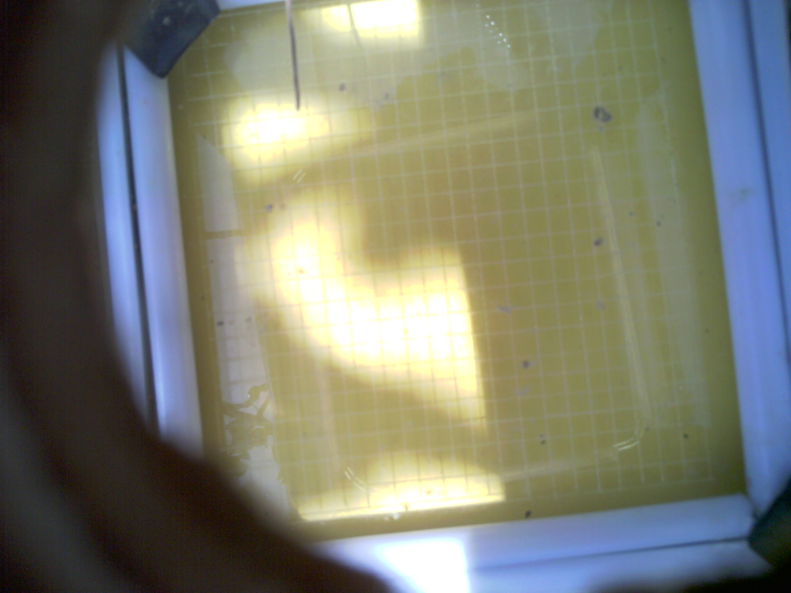 20260712_125824_UXGA_Q3.jpg