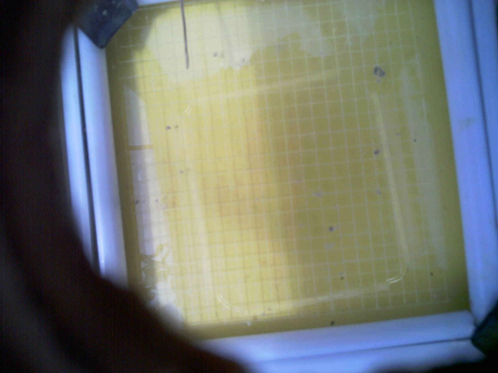20260712_131316_UXGA_Q3.jpg