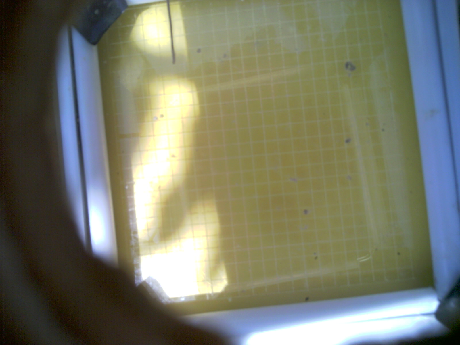 20260712_135137_UXGA_Q3.jpg