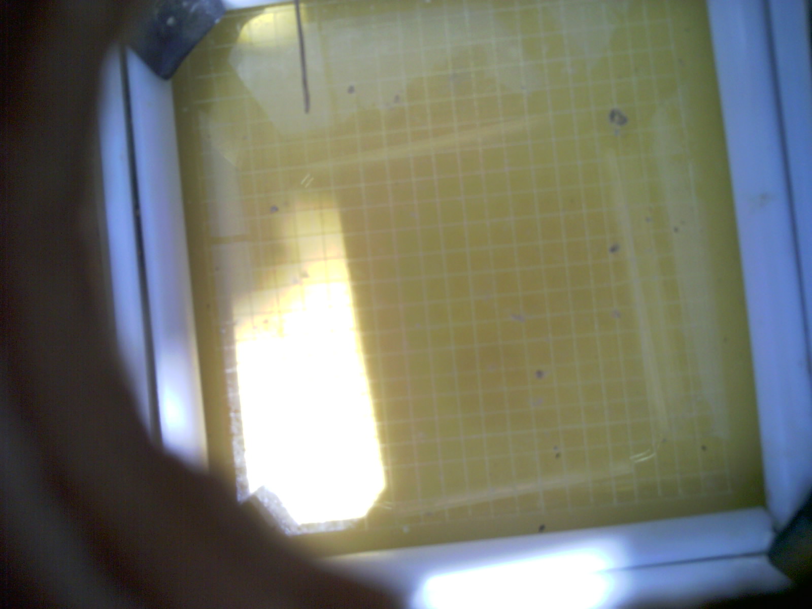 20260712_135903_UXGA_Q3.jpg