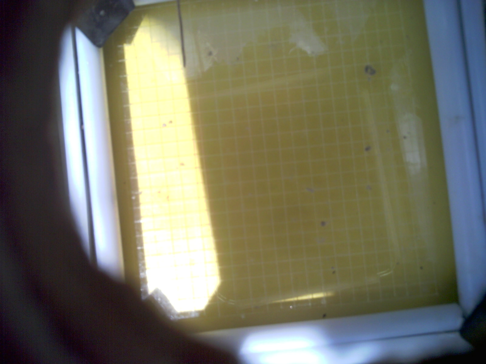 20260712_140609_UXGA_Q3.jpg