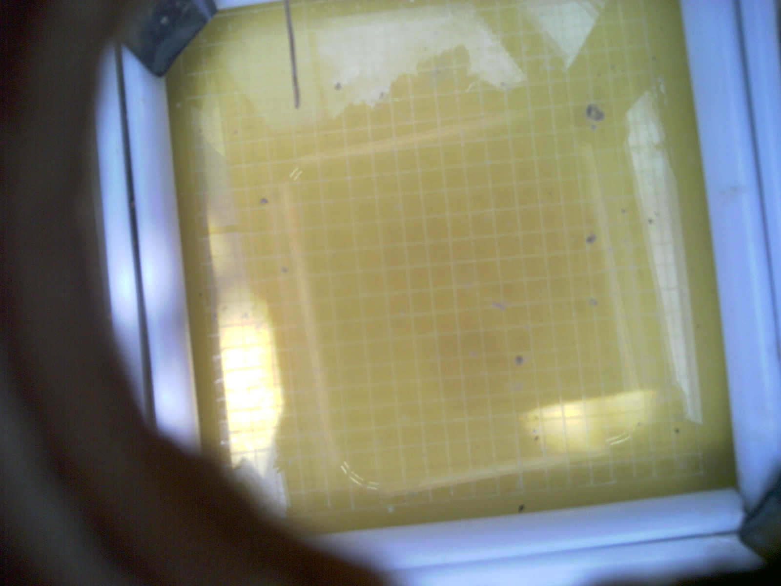 20260712_143622_UXGA_Q3.jpg