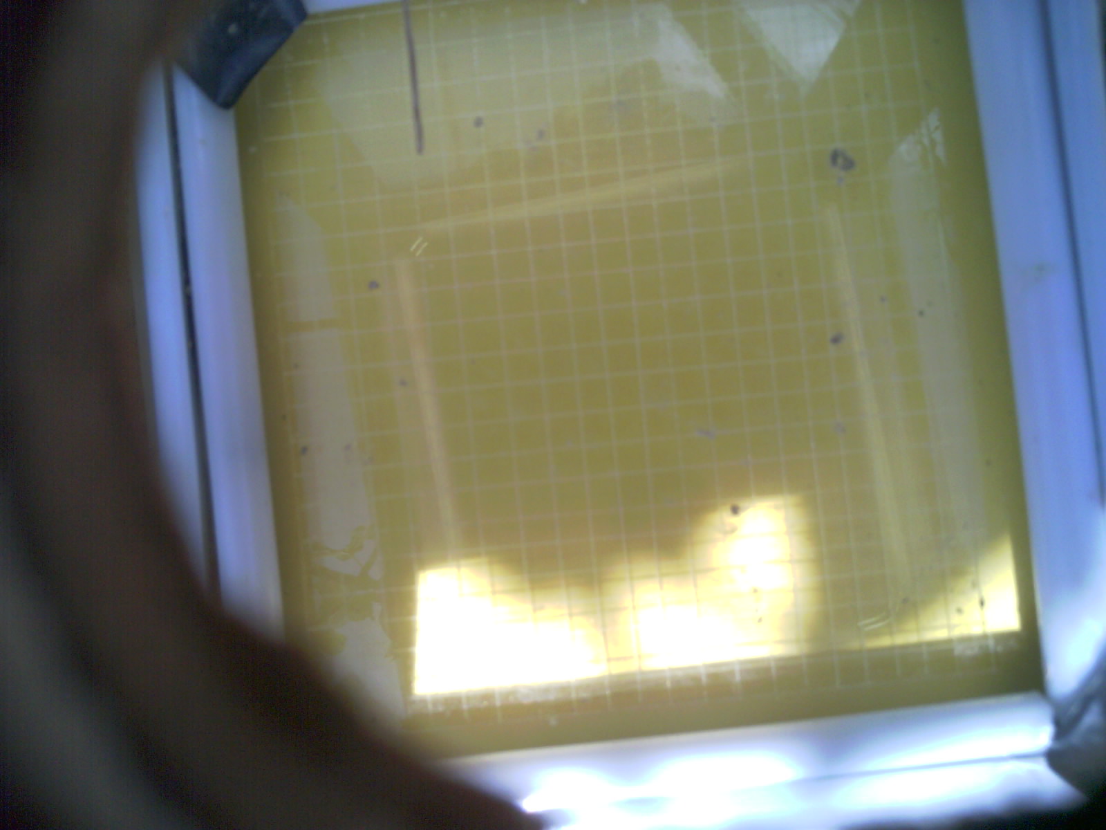 20260712_150421_UXGA_Q3.jpg