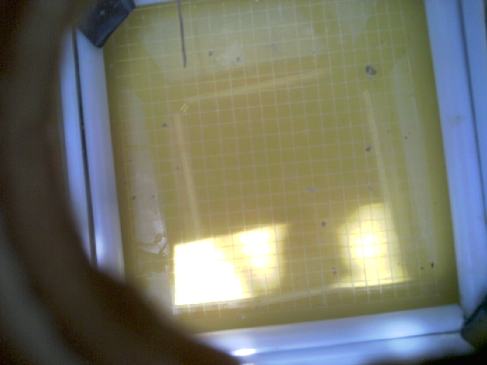 20260712_151120_UXGA_Q3.jpg