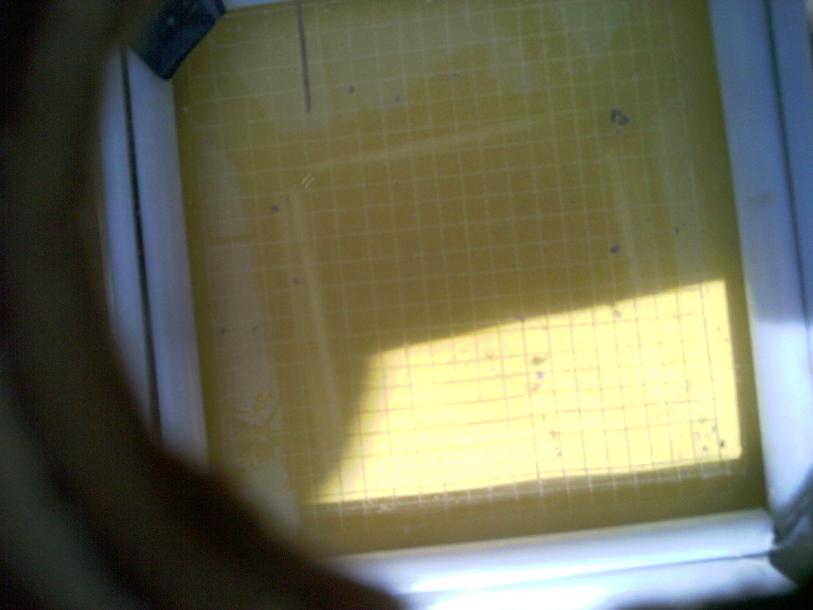 20260712_153328_UXGA_Q3.jpg