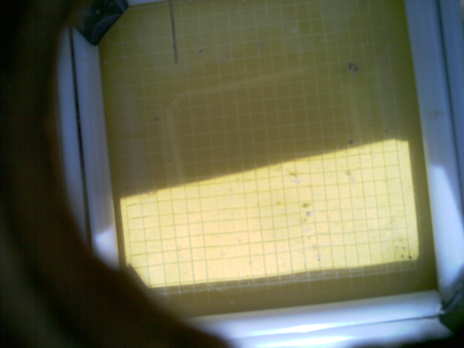 20260712_155427_UXGA_Q3.jpg