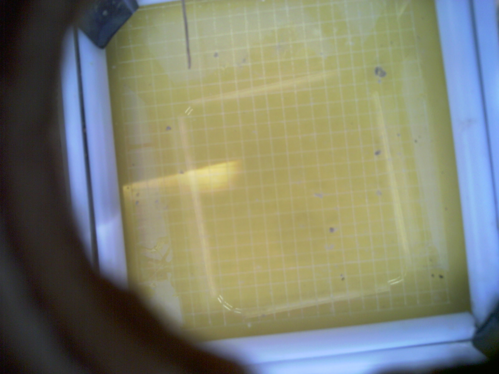 20260712_162109_UXGA_Q3.jpg