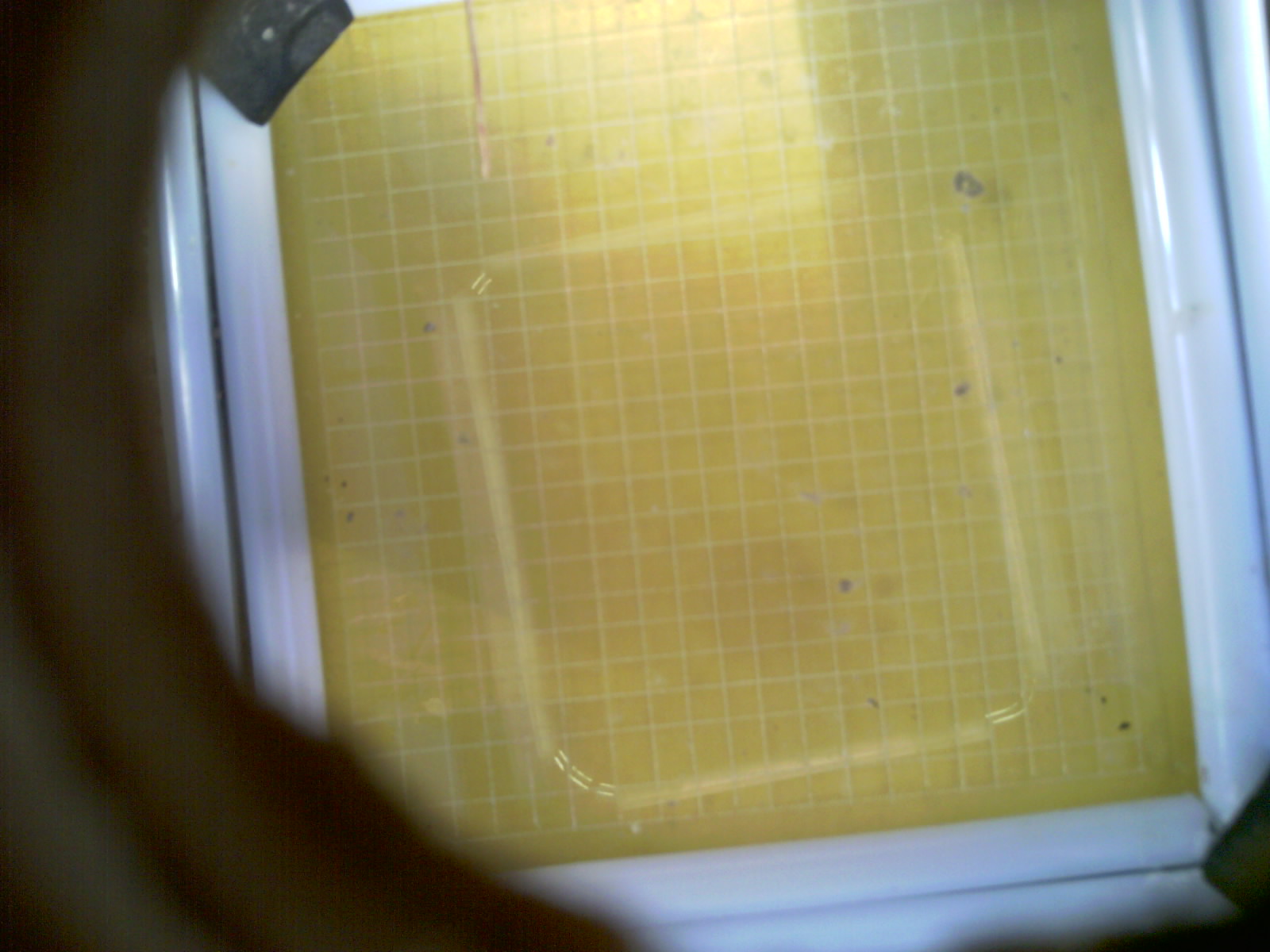 20260712_195221_UXGA_Q3.jpg