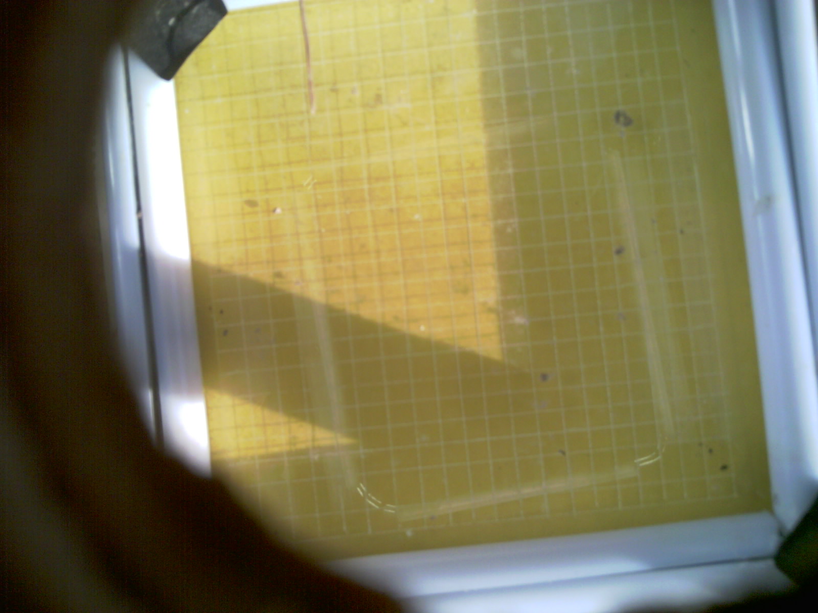 20260712_201103_UXGA_Q3.jpg