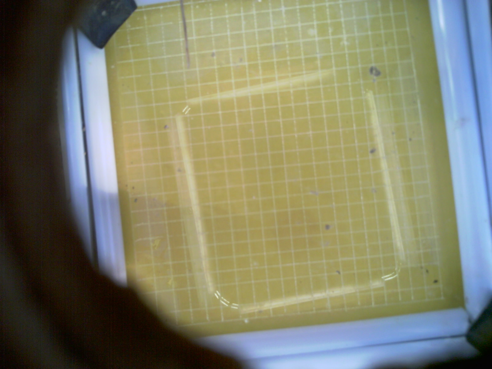 20260712_203649_UXGA_Q3.jpg