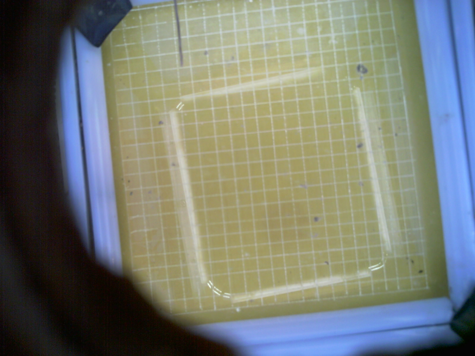 20260712_205603_UXGA_Q3.jpg