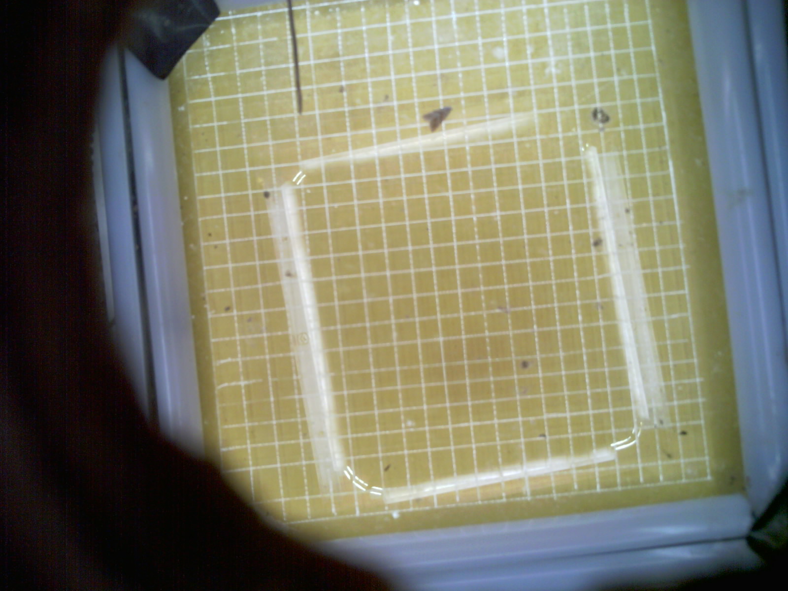 20260713_070814_UXGA_Q3.jpg
