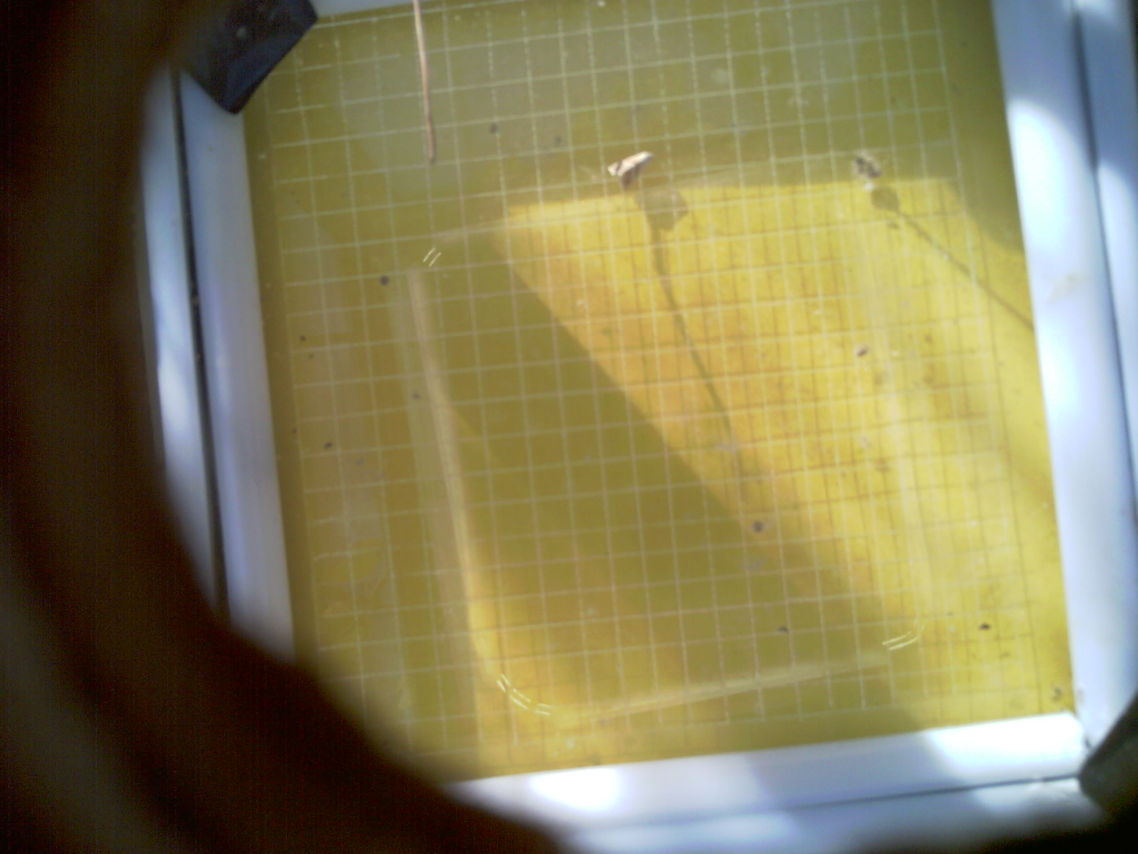 20260713_082754_UXGA_Q3.jpg