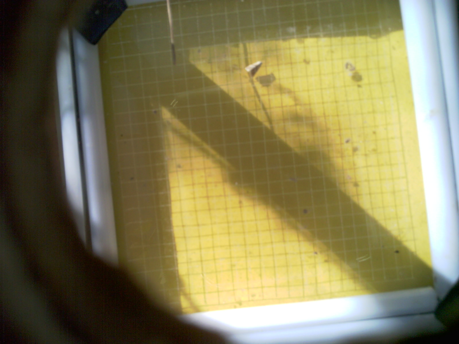 20260713_091703_UXGA_Q3.jpg