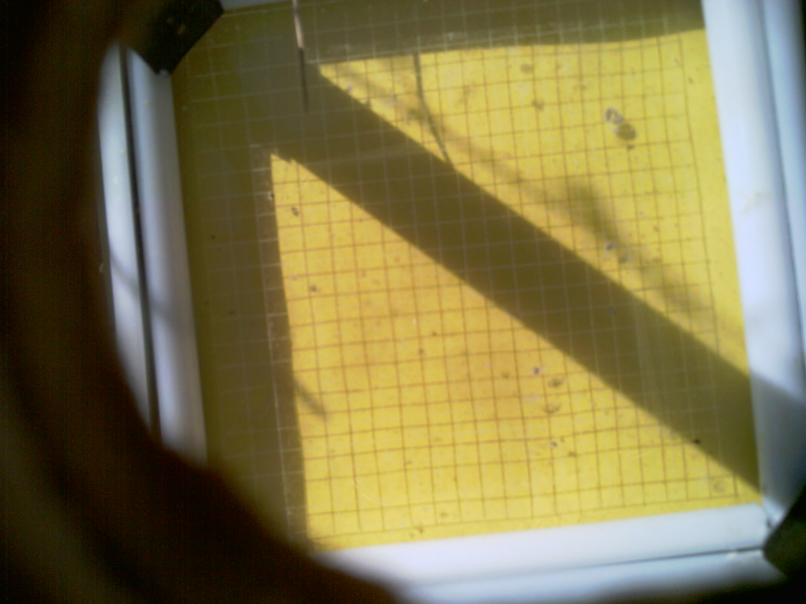 20260713_094809_UXGA_Q3.jpg