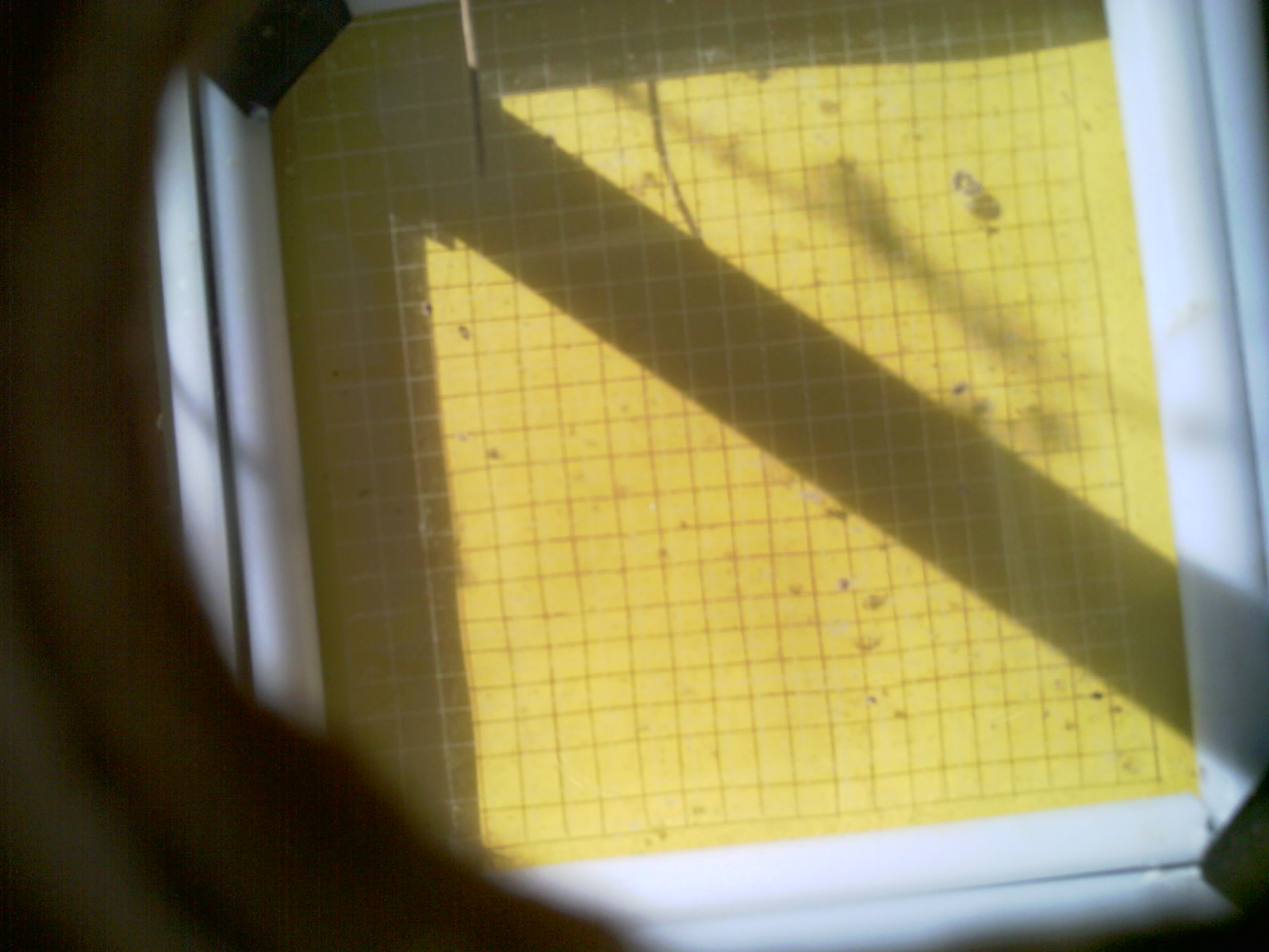 20260713_095415_UXGA_Q3.jpg