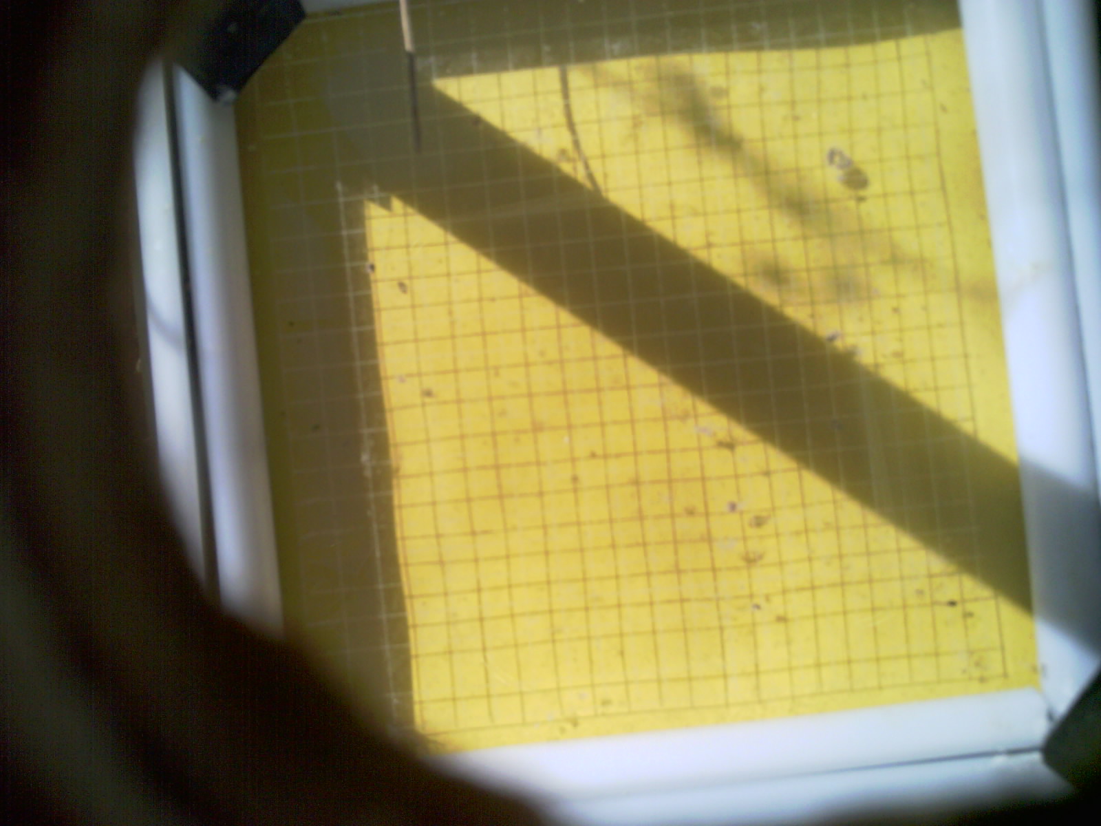 20260713_100026_UXGA_Q3.jpg