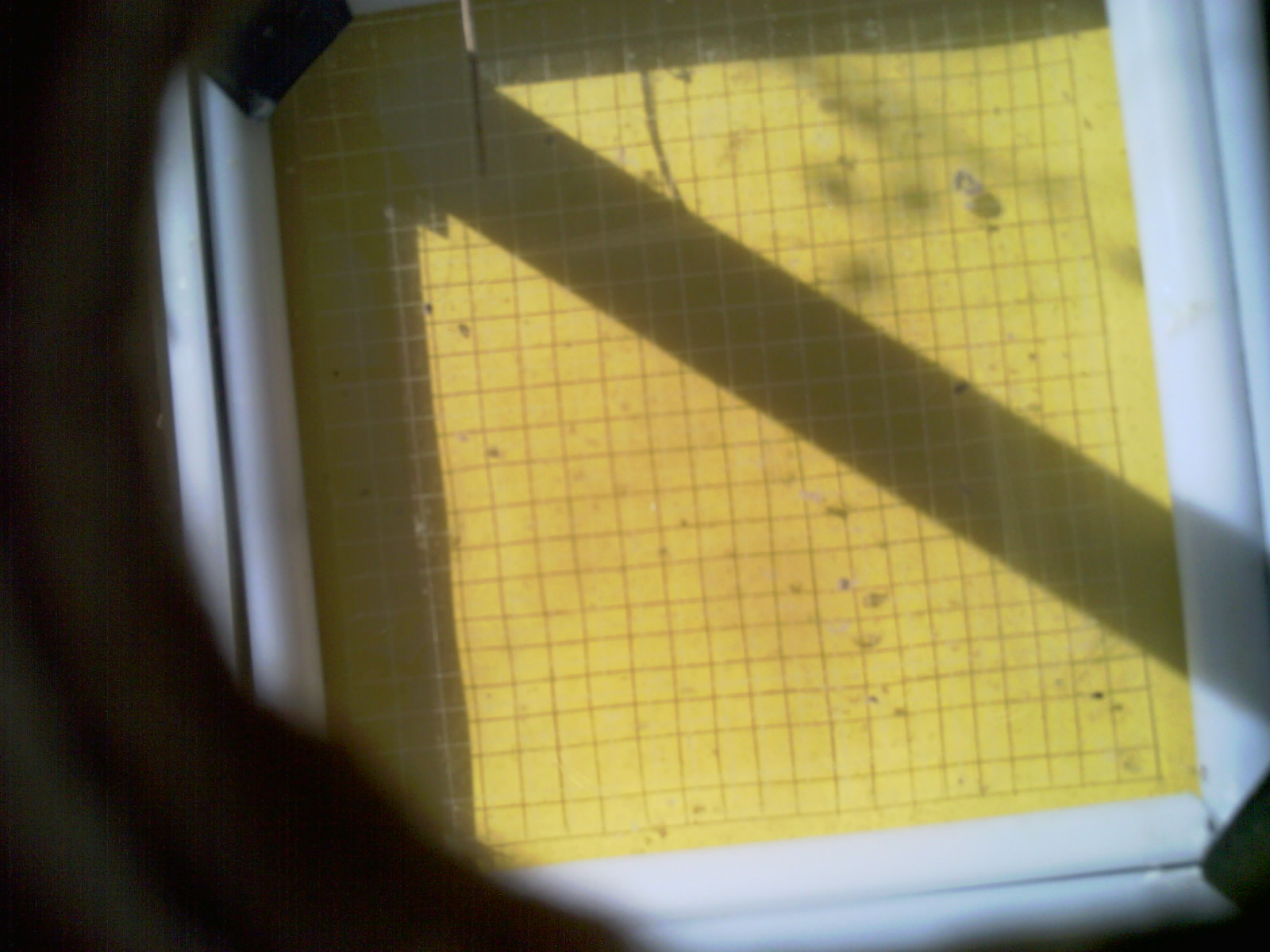 20260713_100630_UXGA_Q3.jpg